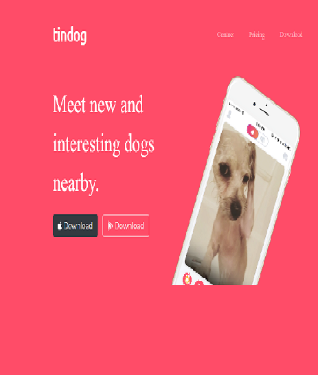portfolio-image